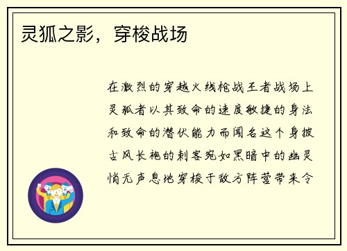 灵狐之影，穿梭战场