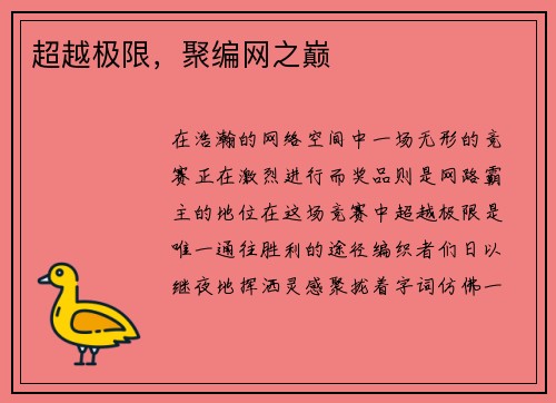 超越极限,聚编网之巅